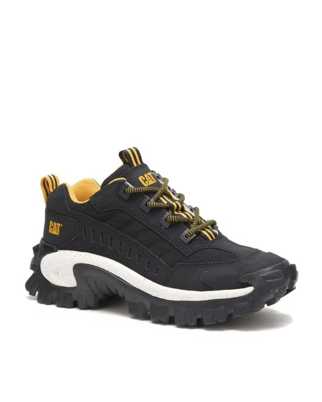 Zapatilla Hombre Intruder Cat